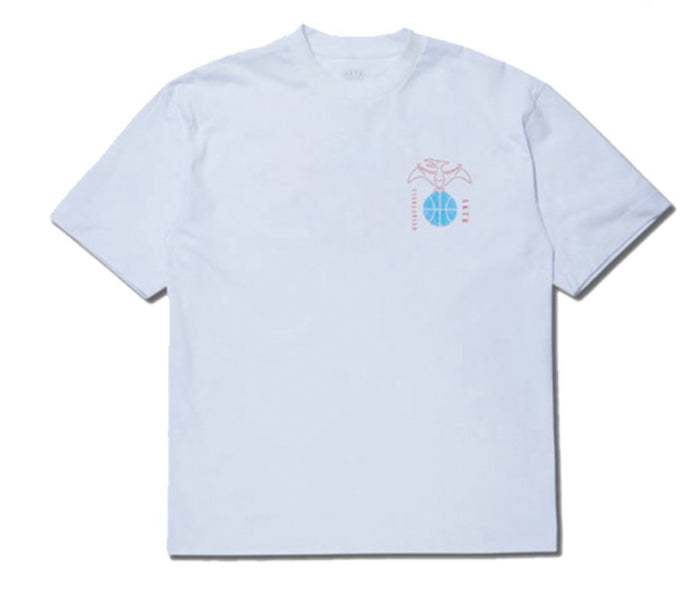 AKTR DINOSAUR BALL TEE