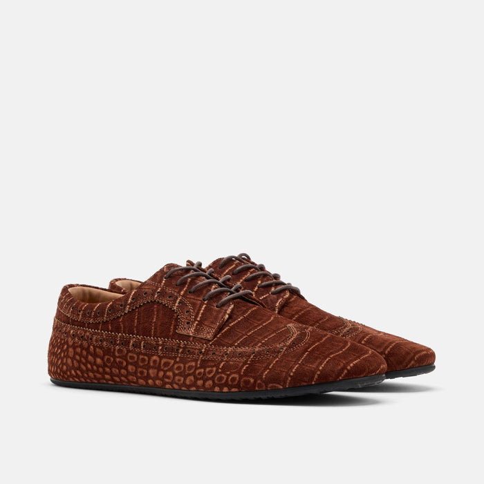 Alexander Brown Croc Suede Ballerina Longwing Sneakers
