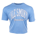 ARCH TEXT BOARDWALK TEE - LAKE BLUE