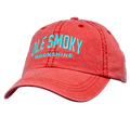 ARCH TEXT DAD HAT - RED