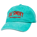 ARCH TEXT DAD HAT - SEAFOAM