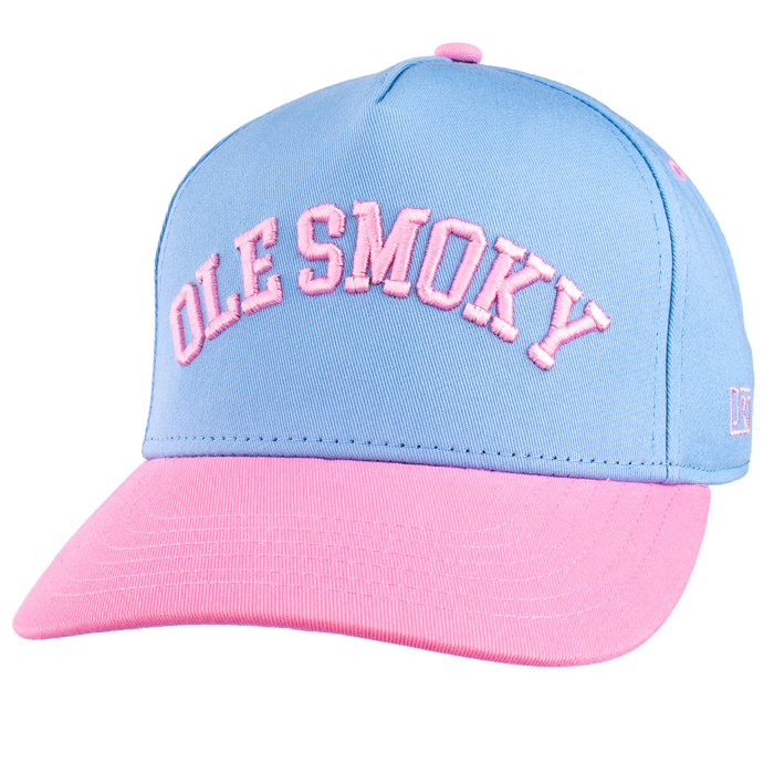 ARCH TEXT HAT - BLUE/PINK