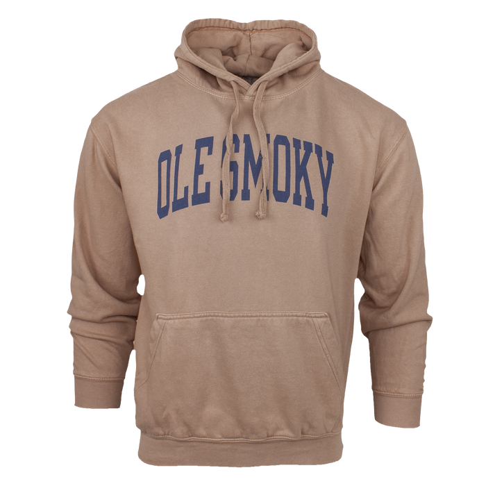 ARCH TEXT HOODIE - LATTE