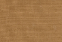A small cutout of coyote pattern