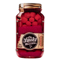 CHERRIES JAR FLOATER MAGNET