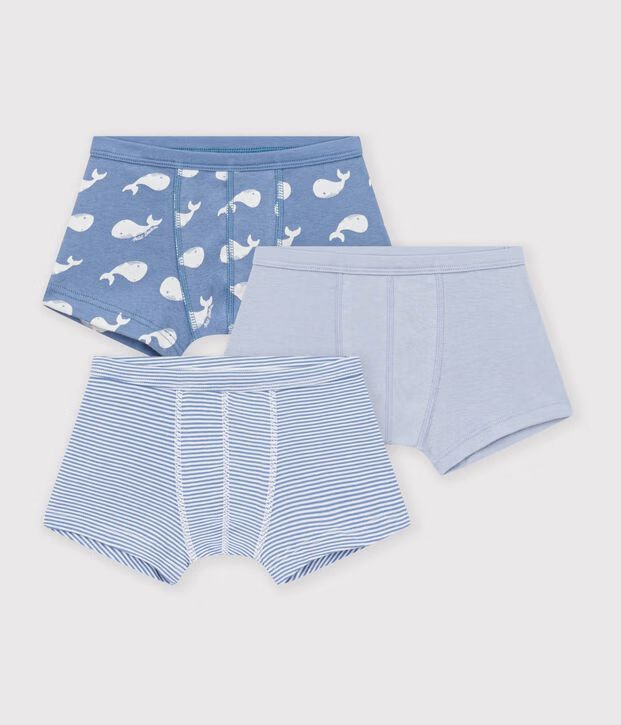 FW26 - A0H0P 00 BLUE MULTI BOY FALL WINTER 2026 NEW ARRIVAL STRIPES UNDERWEAR
