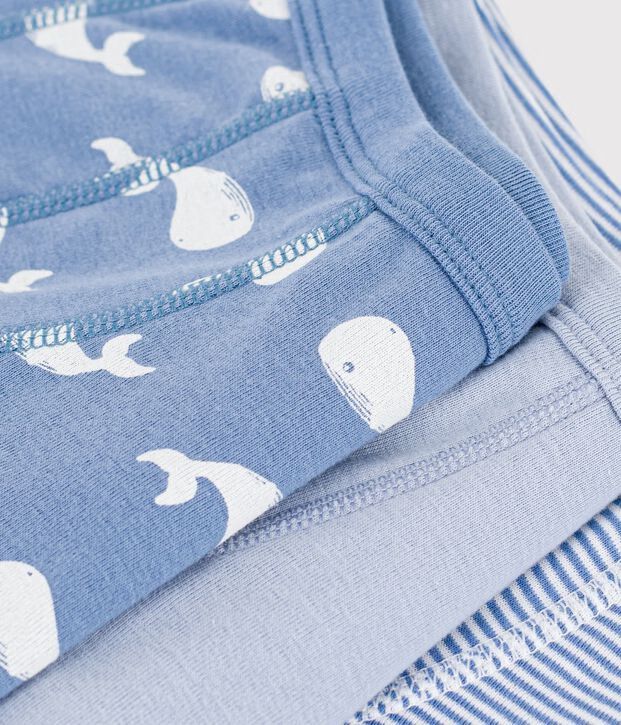 FW26 - A0H0P 00 BLUE MULTI BOY FALL WINTER 2026 NEW ARRIVAL STRIPES UNDERWEAR