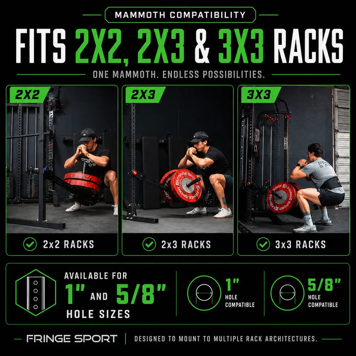 Mammoth Belt Squat (With Free Belt) Fringe Sport